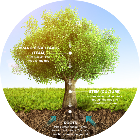 Xebia Tree V5-01.png Xebia Tree V5-01.png